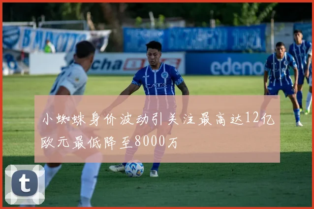小蜘蛛身价波动引关注最高达12亿欧元最低降至8000万