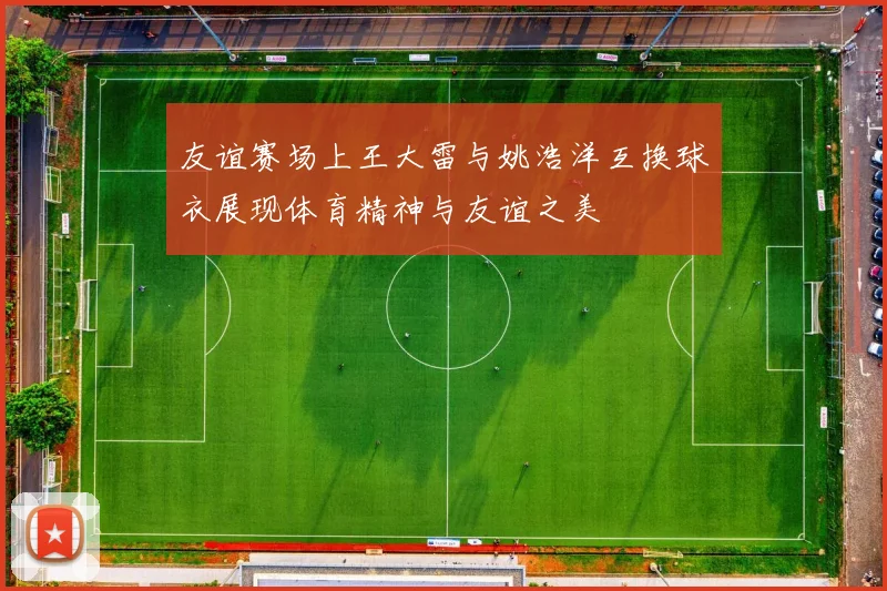 友谊赛场上王大雷与姚浩洋互换球衣展现体育精神与友谊之美