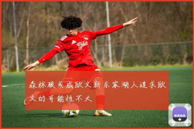 森林狼或成欧文新东家湖人追求欧文的可能性不大